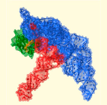 superbacterias-3