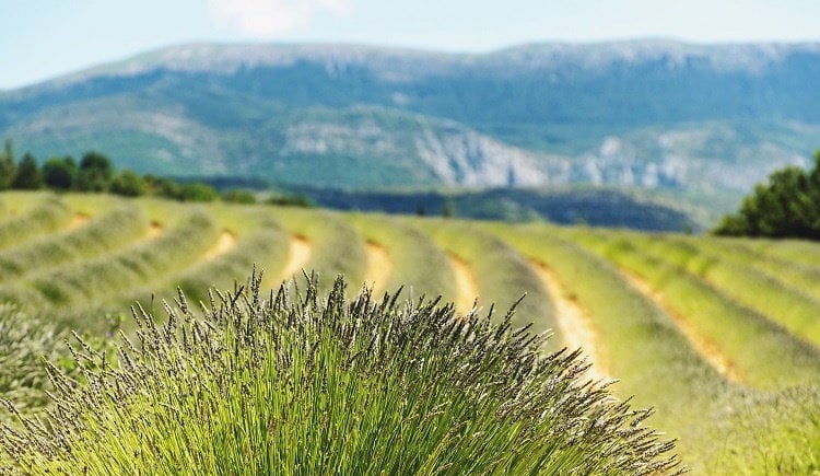 paisaje francia