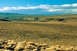 LLanura chaco-pampeana