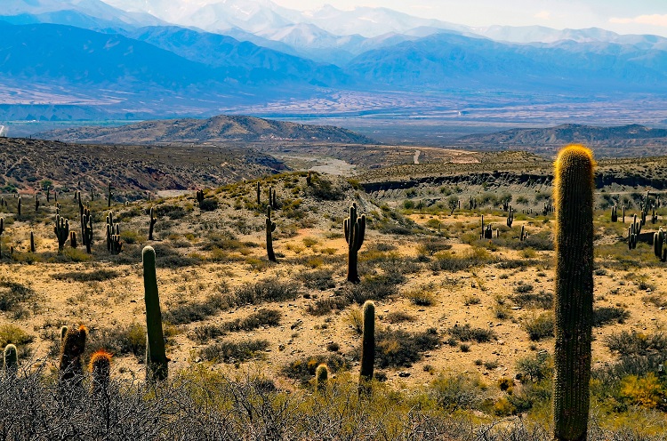 desierto argentina