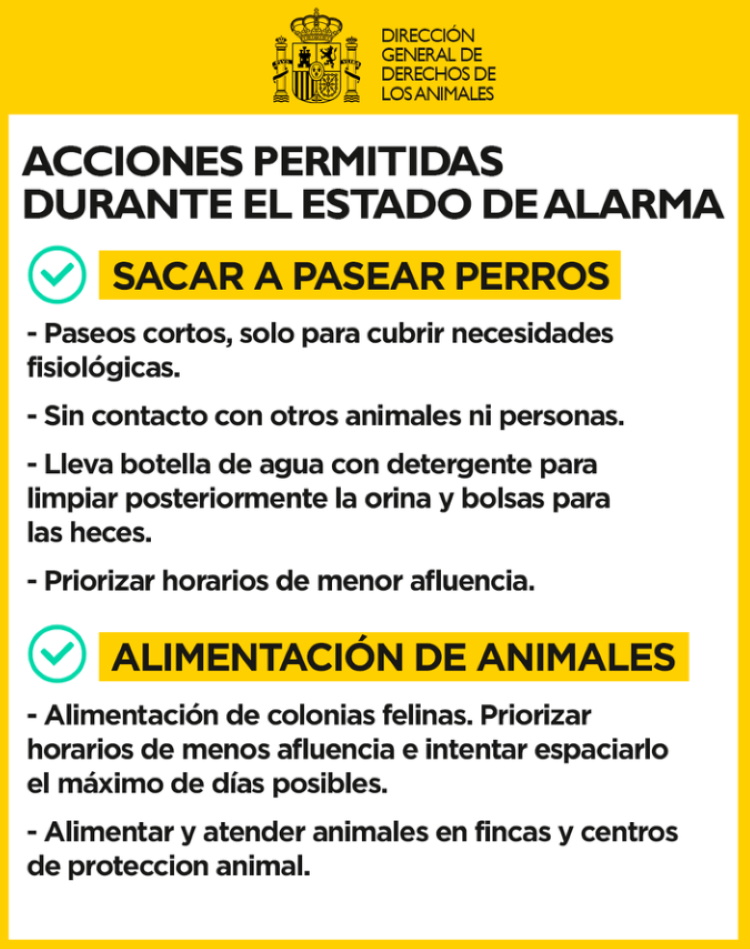 mascotas coronavirus