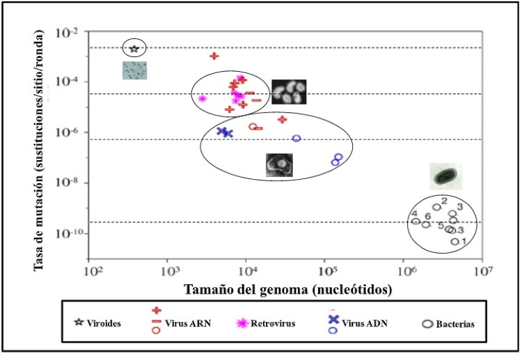 cuadro grafico
