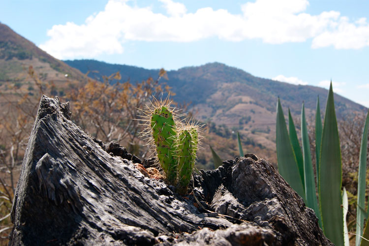 mexico-3
