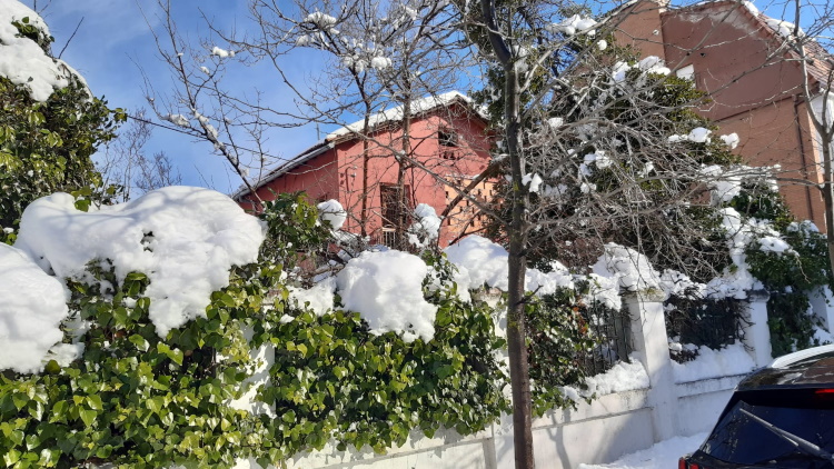 El chalet de la Rosas, que inspiró a Ramón Gómez de la Serna en su novela del mismo nombre, antes de su derribo. Foto de Beatriz Keller