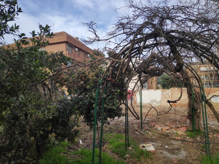 Asi quedó el chalet de las Rosas.Foto de Ricardo Márquez