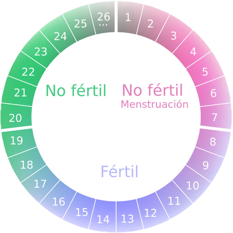 OGINO-KNAUS- FERTIL NO FERTIL