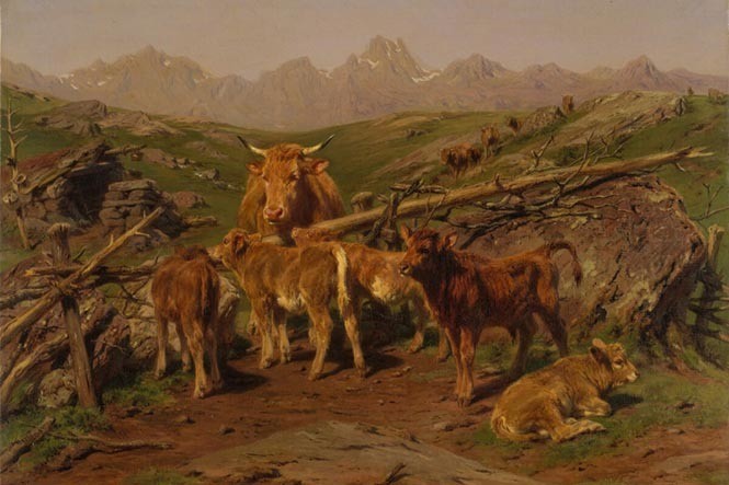 Terneros, año 1879