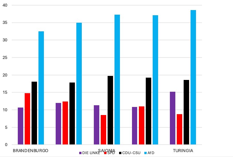 Gráfico 8