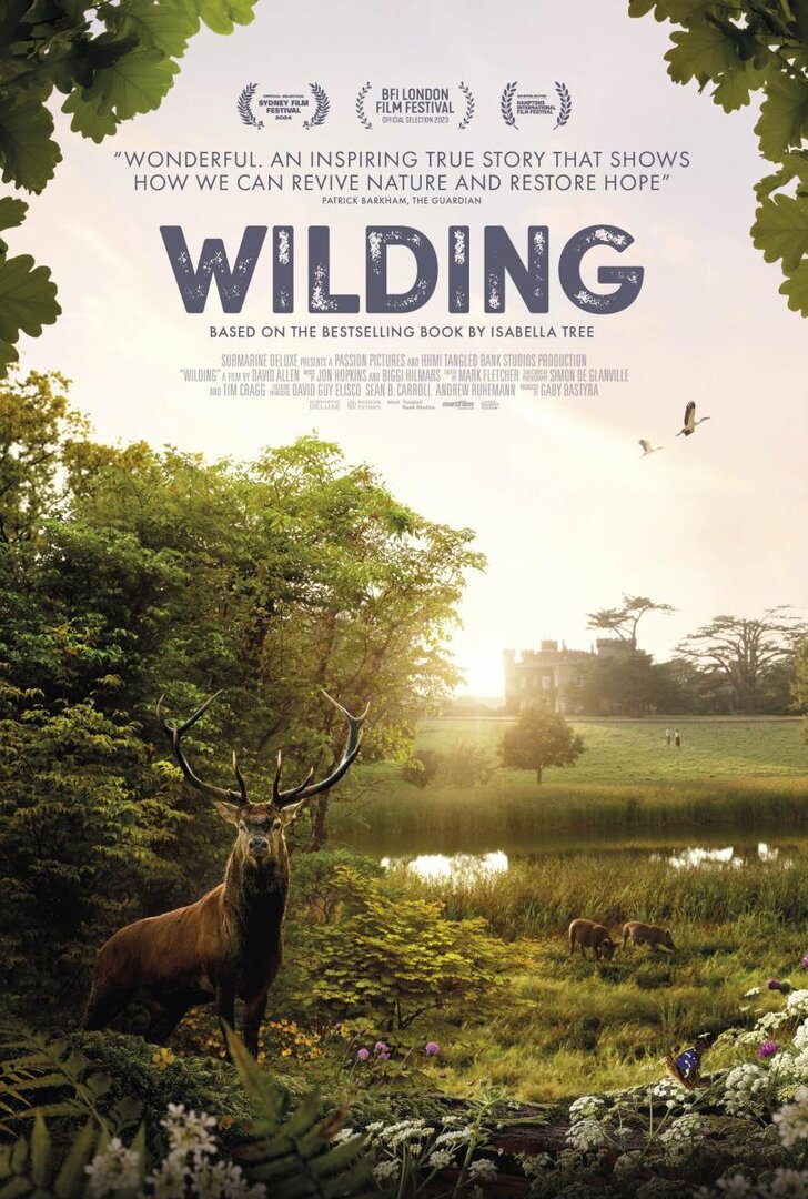 wilding-651173494-large