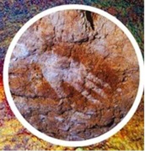 Los neandertales fueron los primeros artistas del mundo