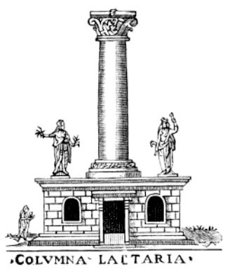 Columna_Lactaria