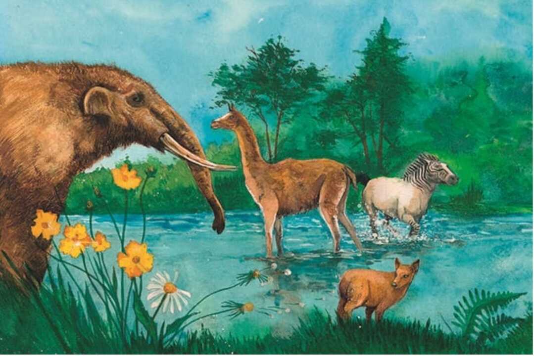 Fauna en Chile durante la última Era del Hielo