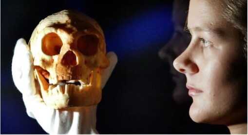 Cráneo de un denisovan